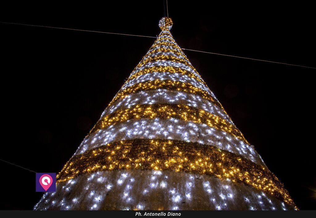 Albero Natale (2)