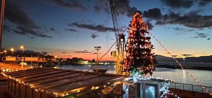 Albero Stazione Santa Caterina