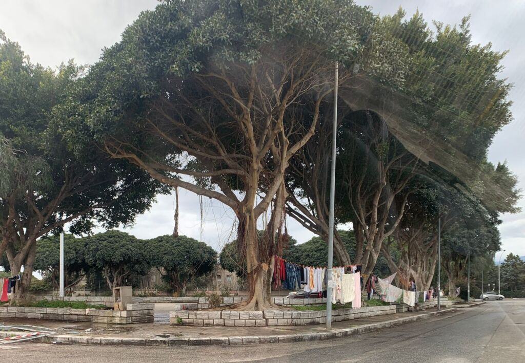 Panni Stesi Piazzale Ferrari Reggio Calabria (3)