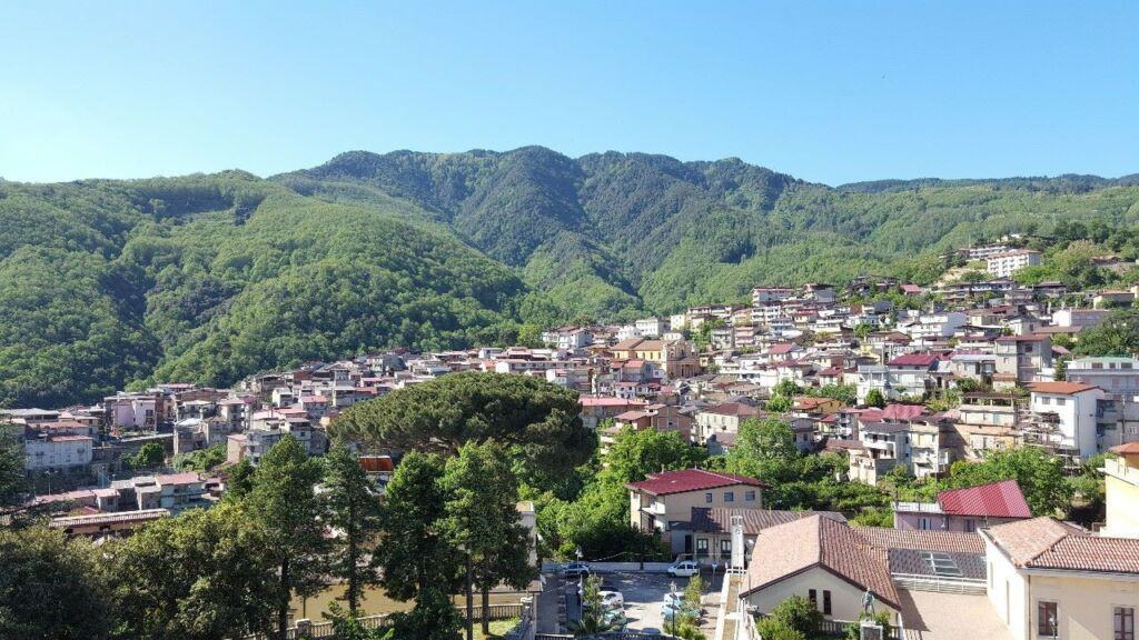 Comune Delianuova Provincia Di Reggio Calabria