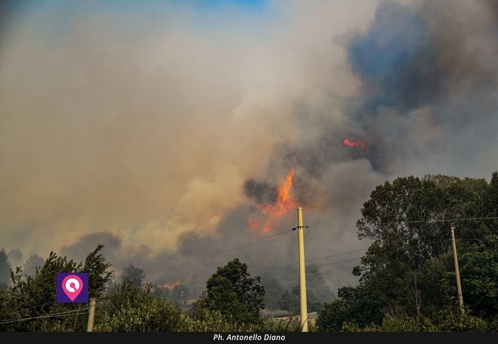 Incendi Cardeto (1)