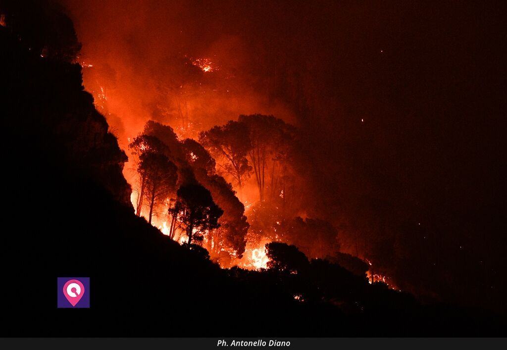 Incendi Vinco (1)