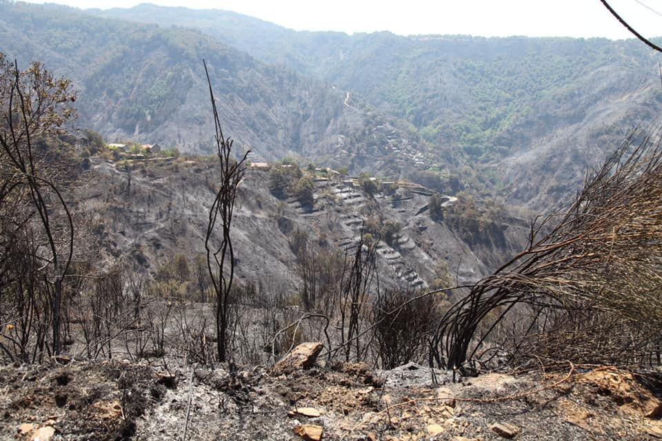 Cardeto Incendi