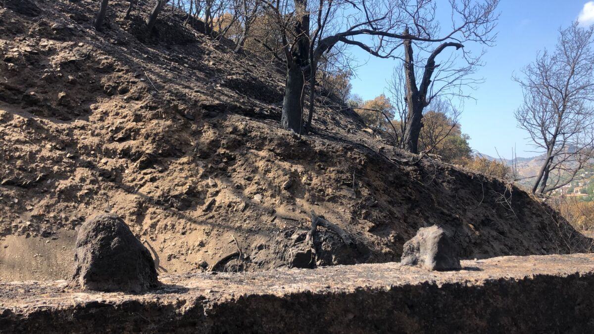 Incendi Aspromonte