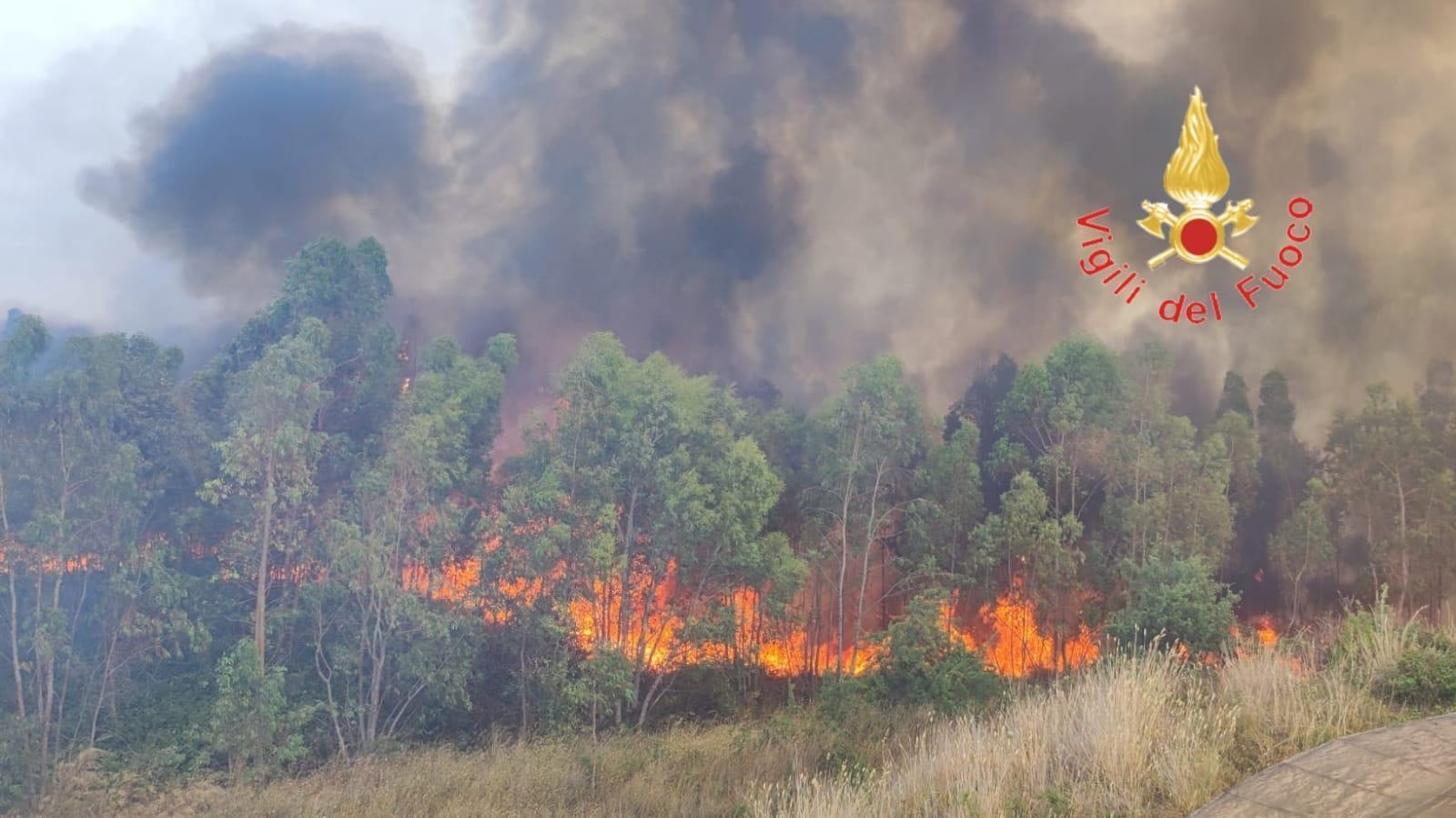 Incendi Calabria