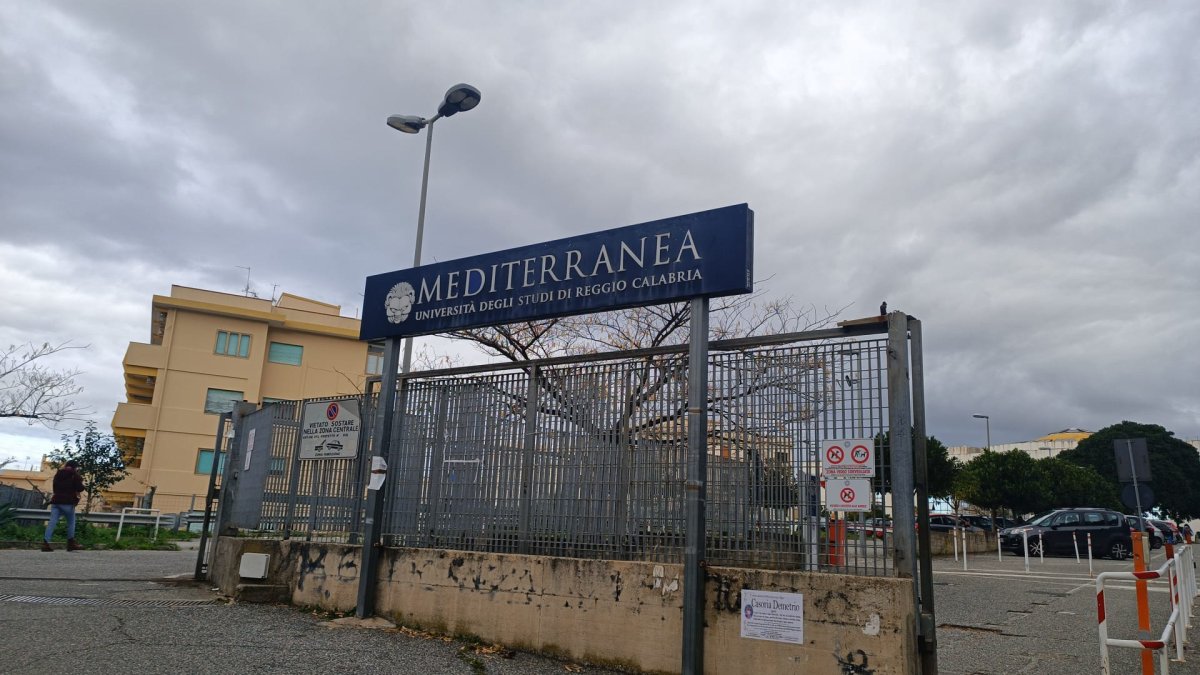 Università Mediterranea