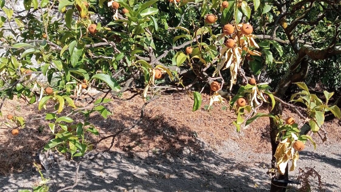 Siccit La Calabria Sul Podio Per Stress Idrico Insieme A Basilicata E