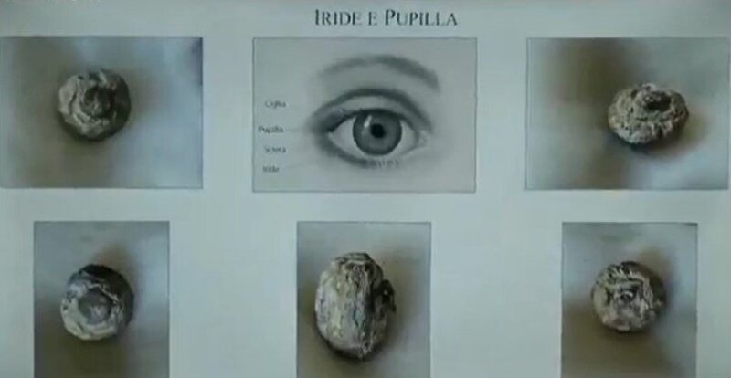 Pupilla Iride