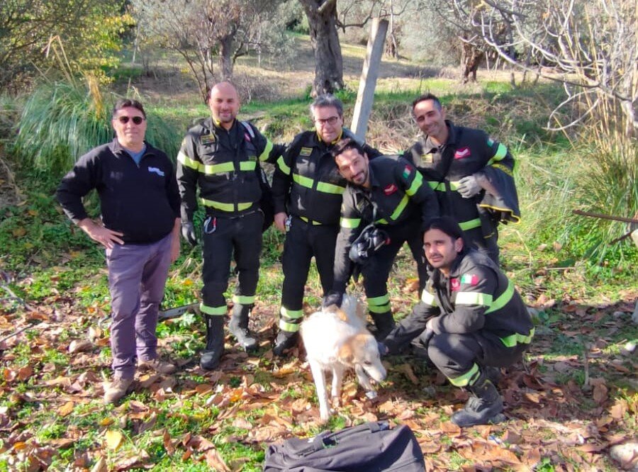 Vigili Fuoco Placanica