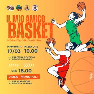 Minibasket Viola