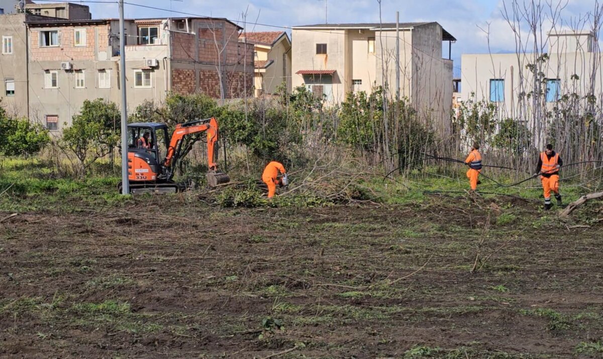 Giardino Esperidi 5