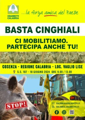 Locandina Manifestazione 18 Giugno (1)