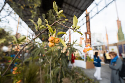 Salone Del Gusto Terra Madre 1