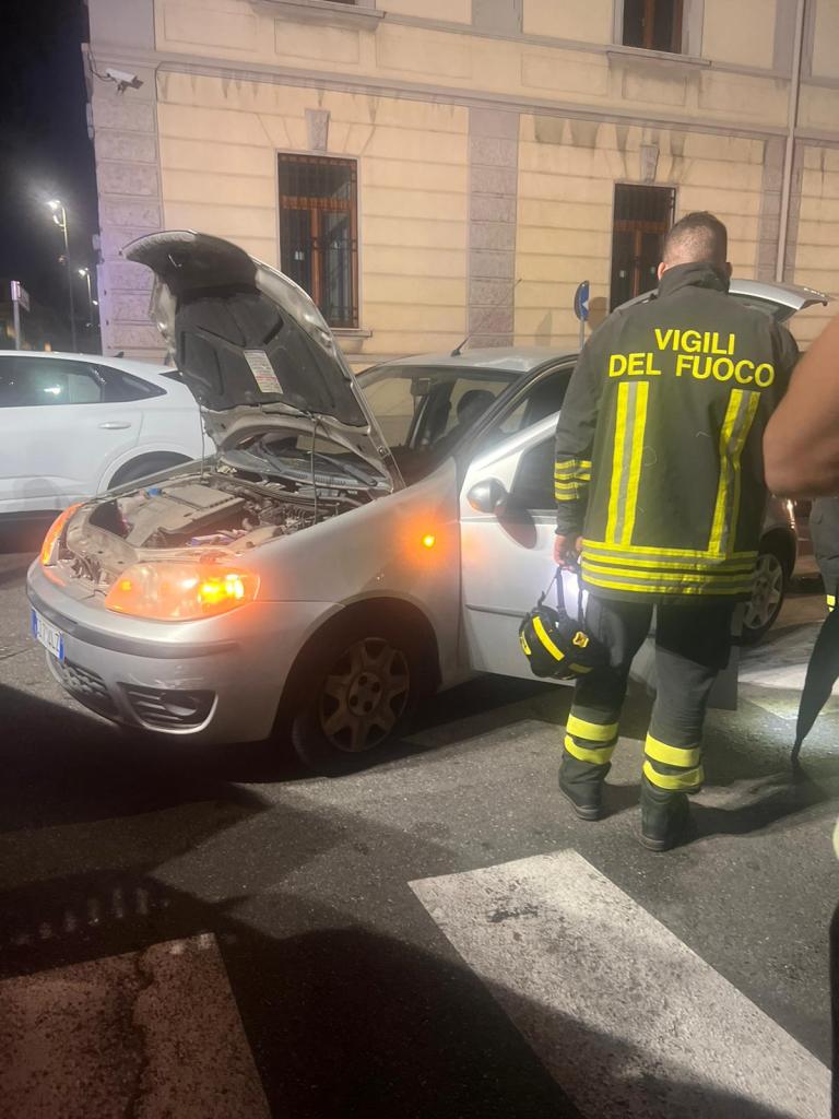 Reggio, serpente in macchina e traffico in tilt: in corso l’intervento dei Vigili del Fuoco