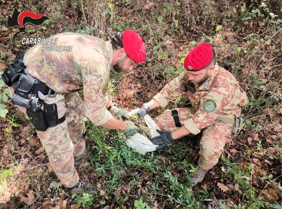 Carabinieri marijuana