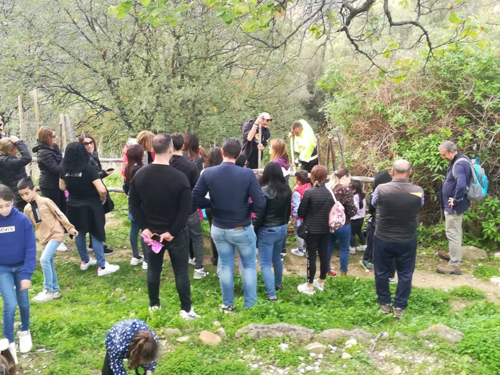 giornata nazionale alberi brancaleone