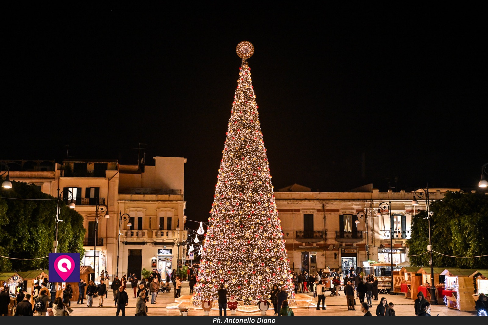 Reggio E L Albero Della Discordia La Dirigente Pace Investimento Per Il Futuro Il