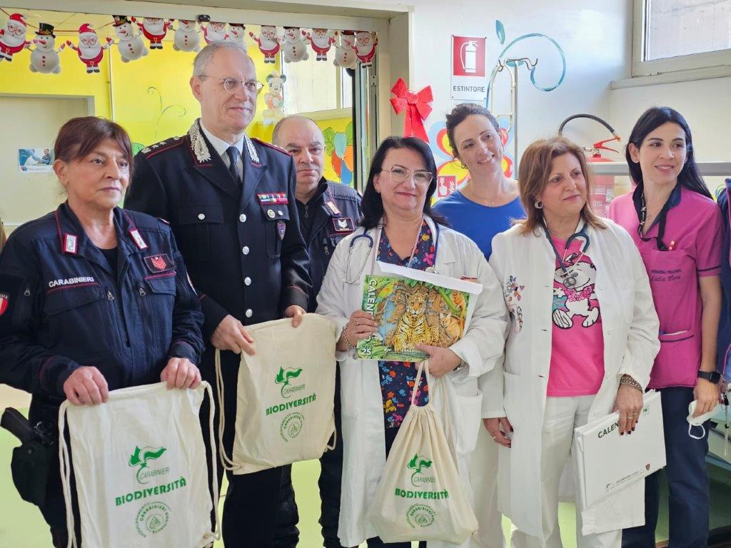 Grande Ospedale Metropolitano di Reggio Calabria