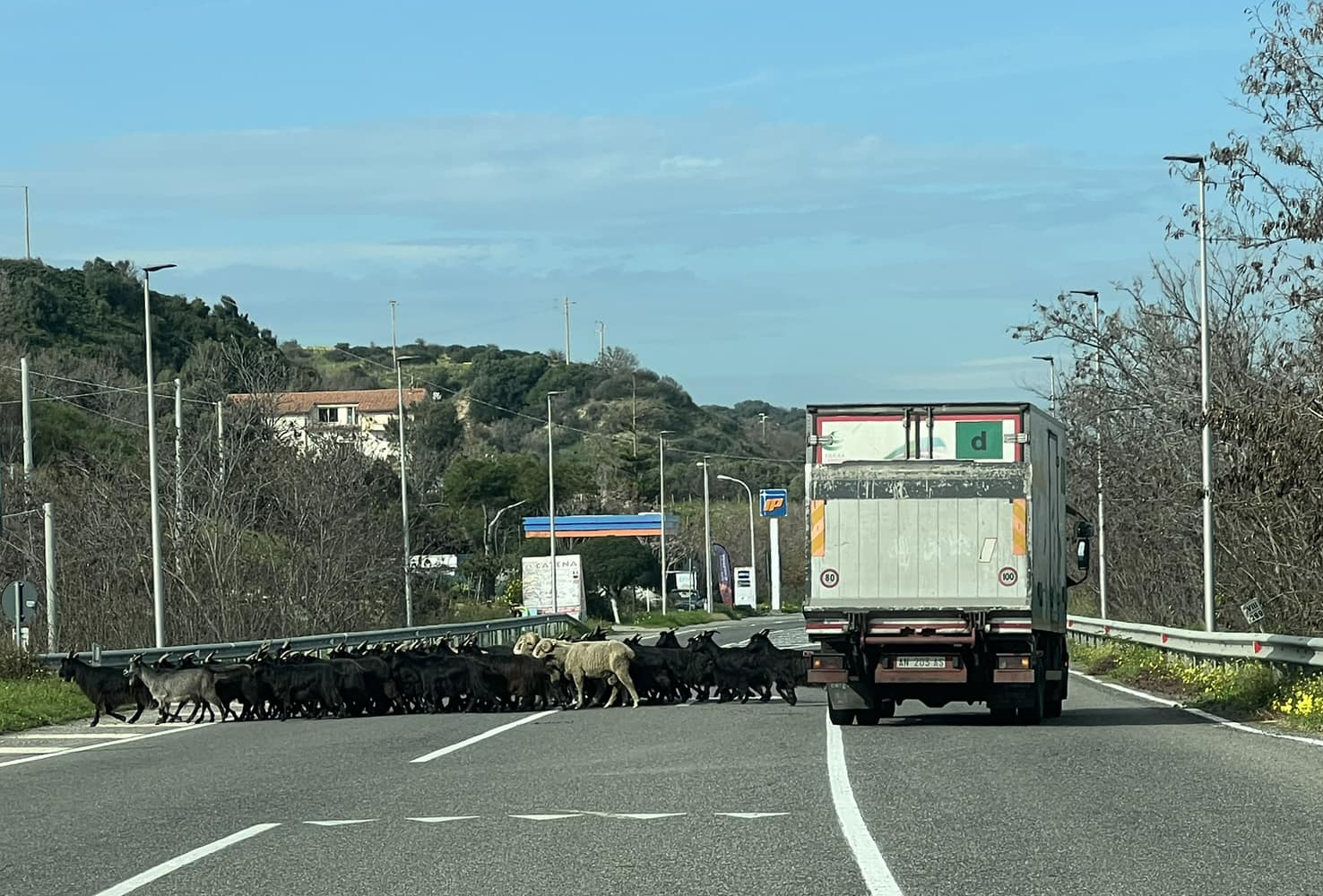 statale gennaio