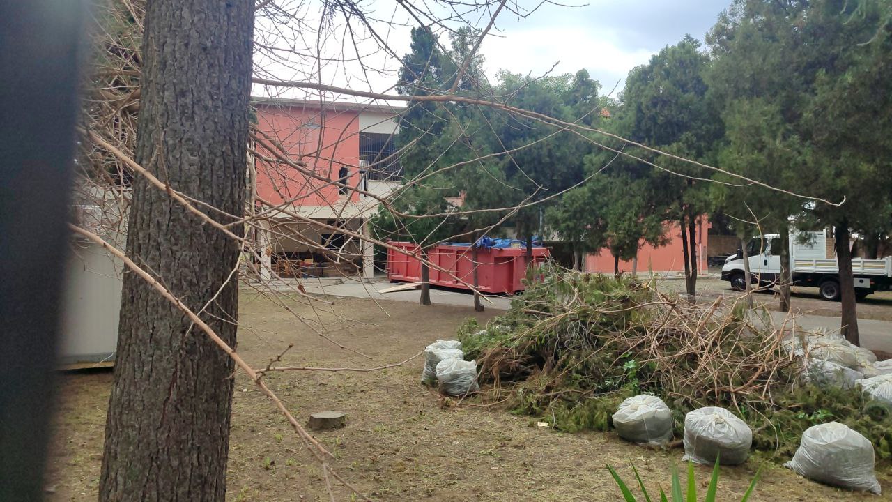 SCUOLA PRIMARIA CONDERA