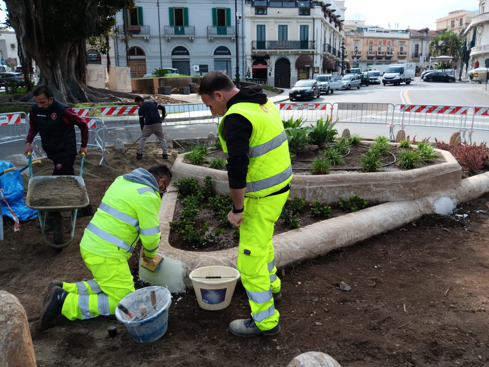 aiuola piazza indipendenza reggio calabria ()